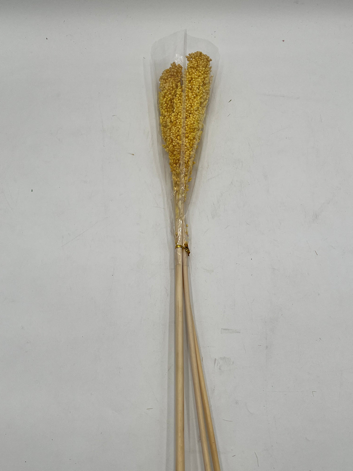 Preserved Sorghum- (Sorgo)