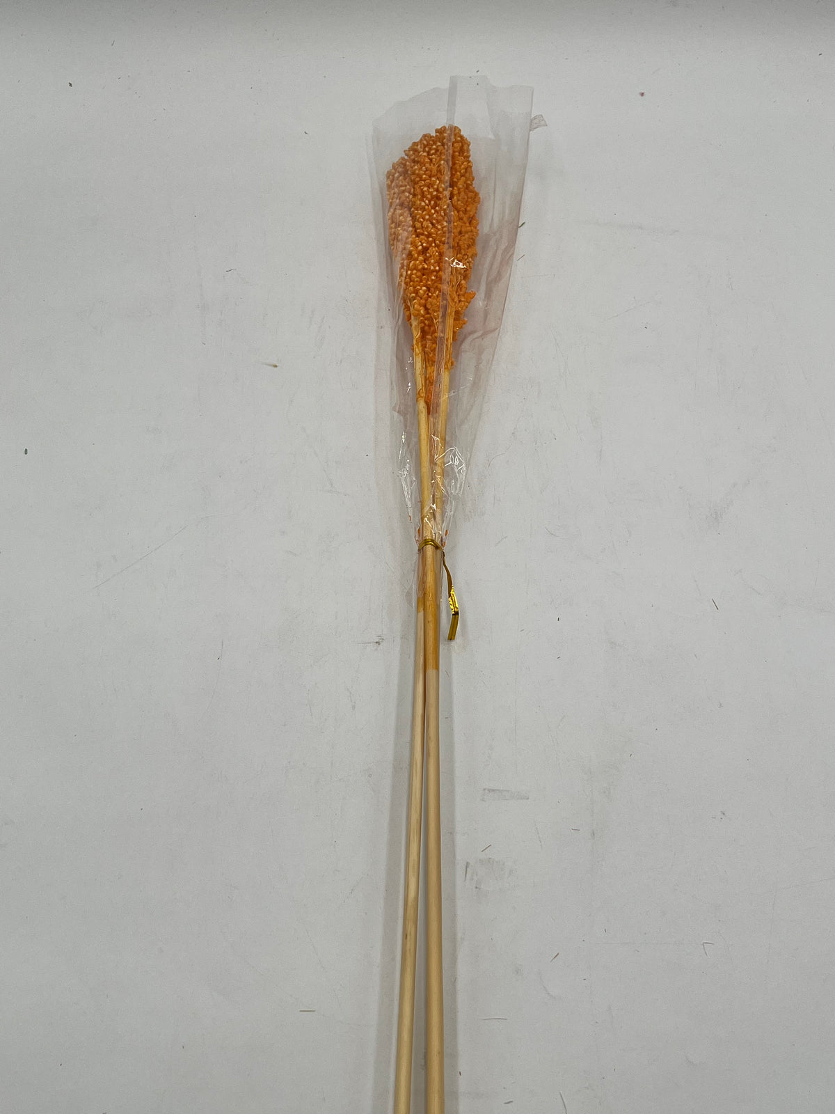 Preserved Sorghum- (Sorgo)