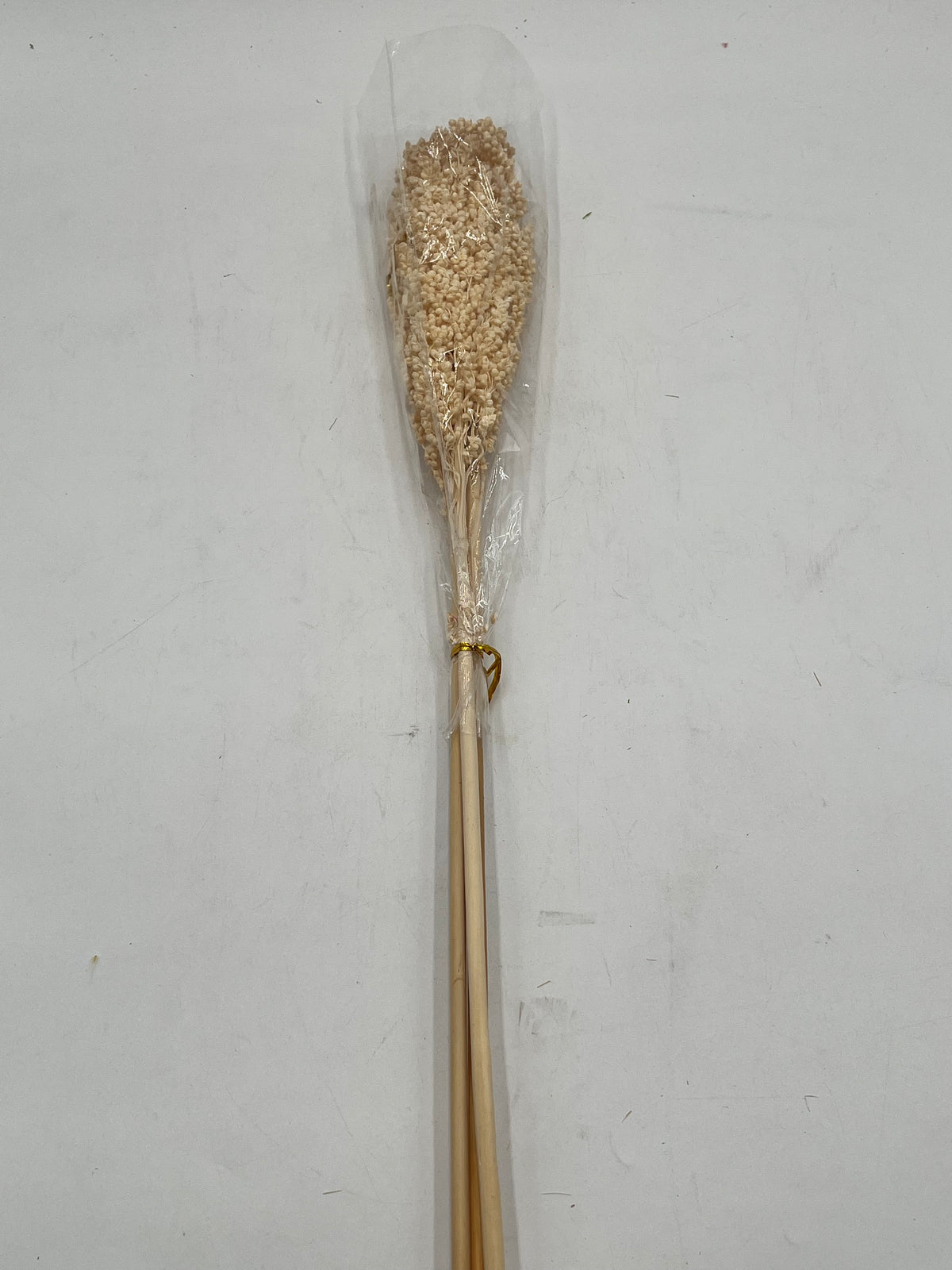 Preserved Sorghum- (Sorgo)
