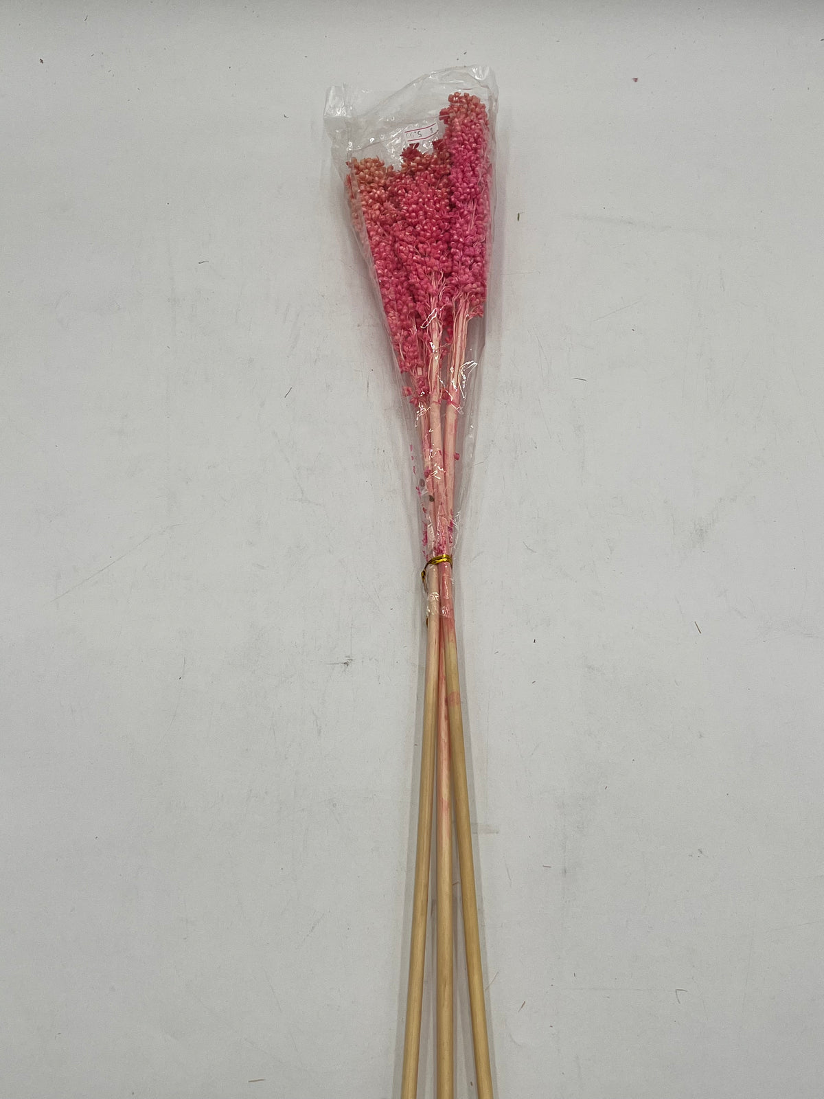 Preserved Sorghum- (Sorgo)