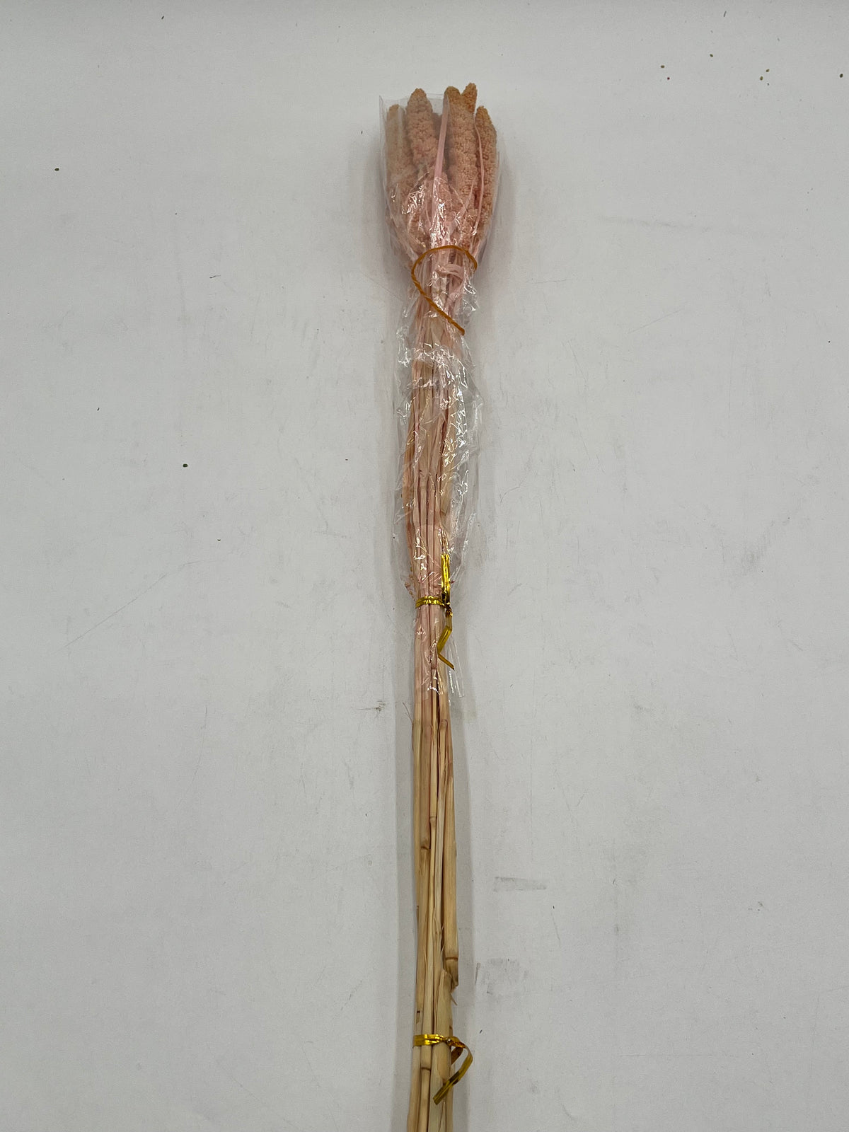 Preserved Millet- (Mijo)