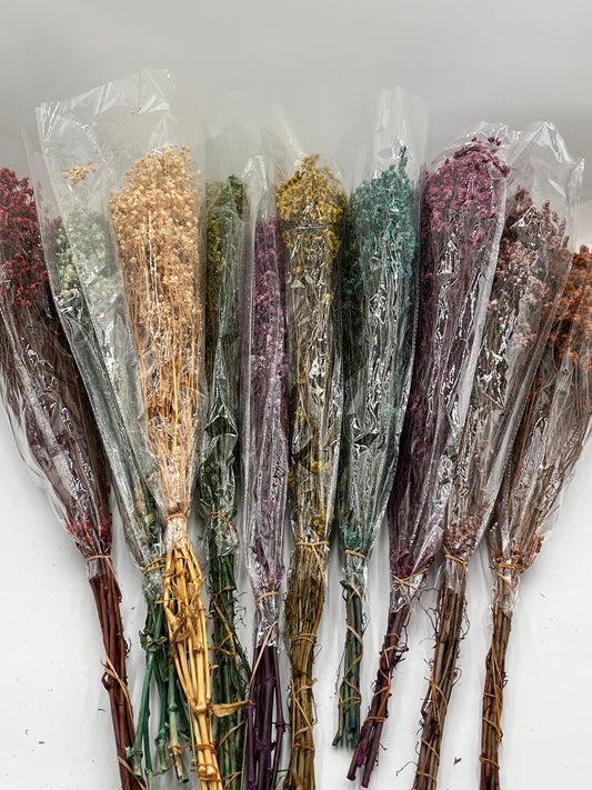 Preserved Babys Breath- (Gisófila)