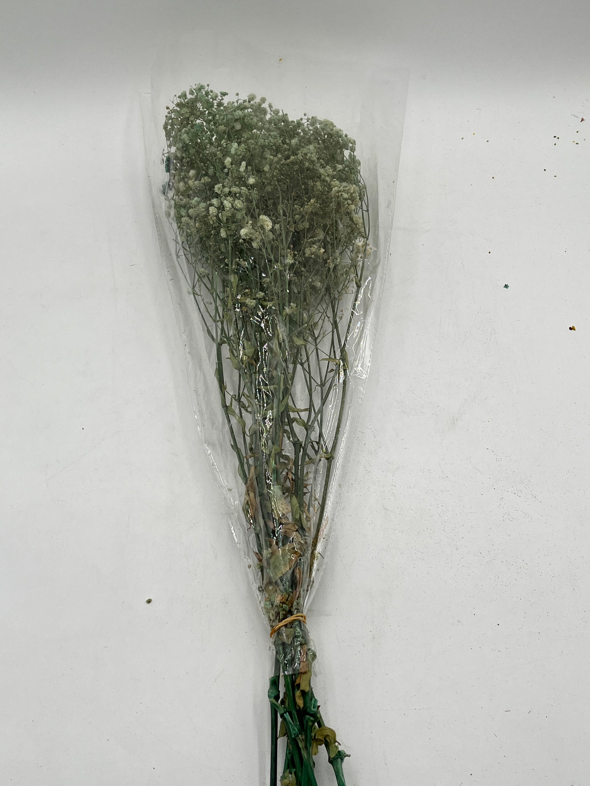 Preserved Babys Breath- (Gisófila)