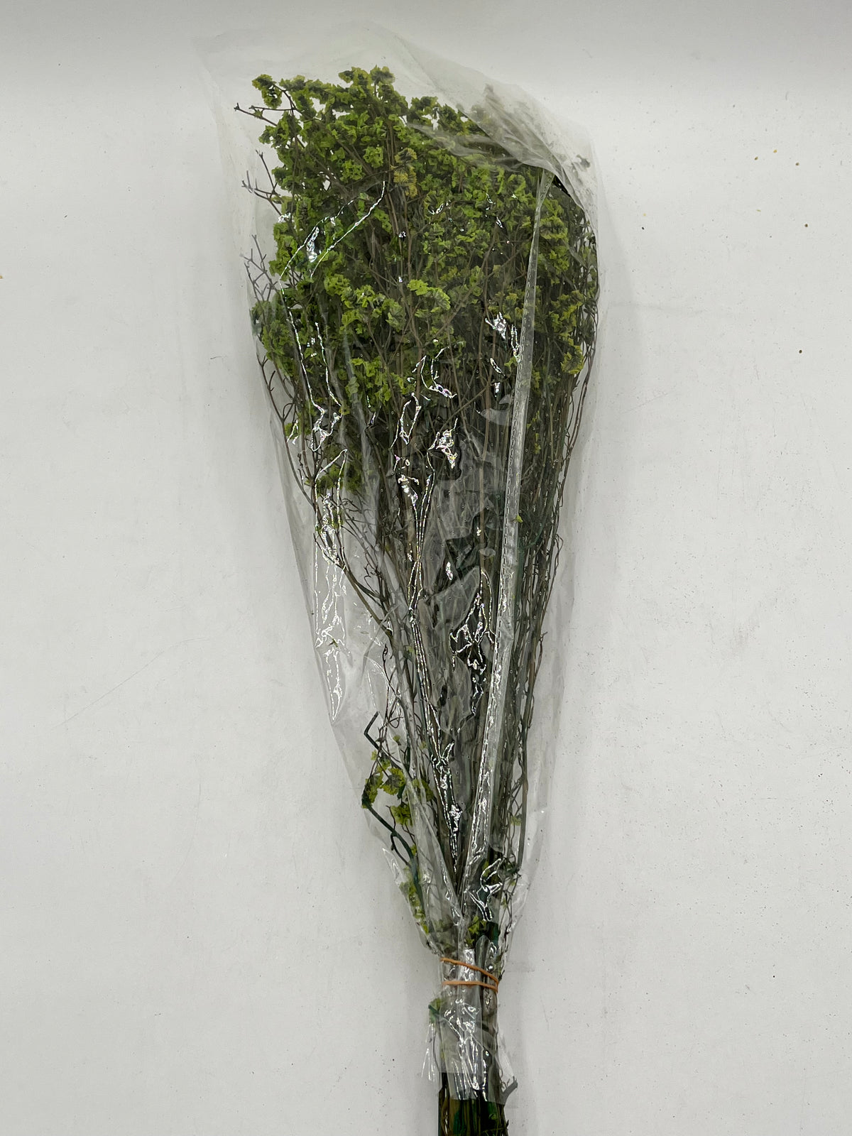 Preserved Babys Breath- (Gisófila)