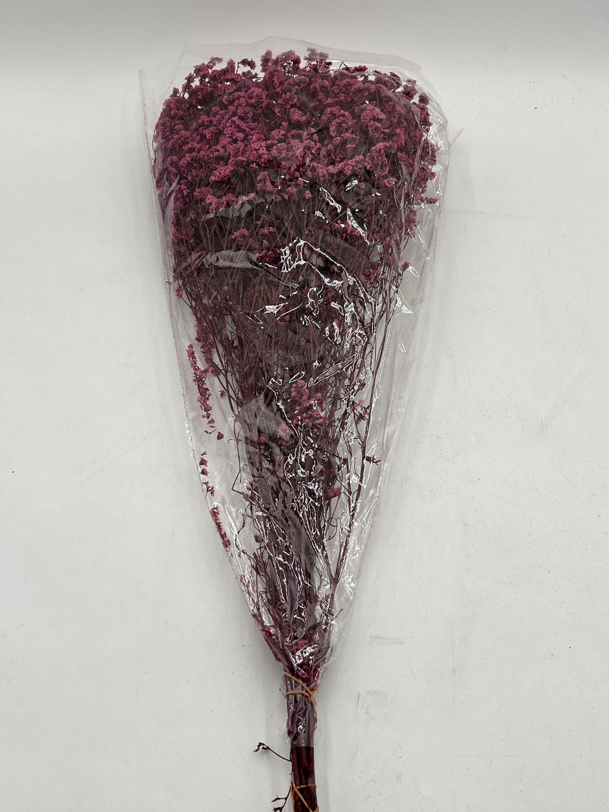 Preserved Babys Breath- (Gisófila)