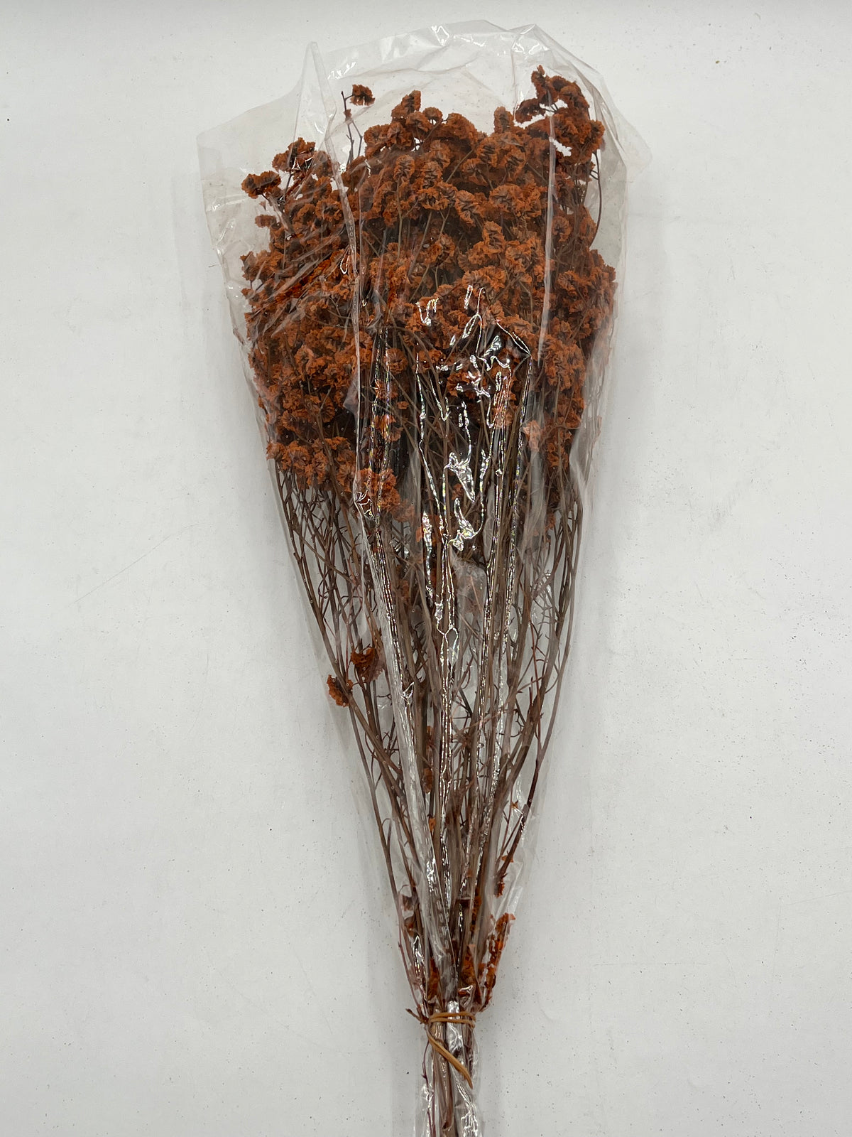 Preserved Babys Breath- (Gisófila)