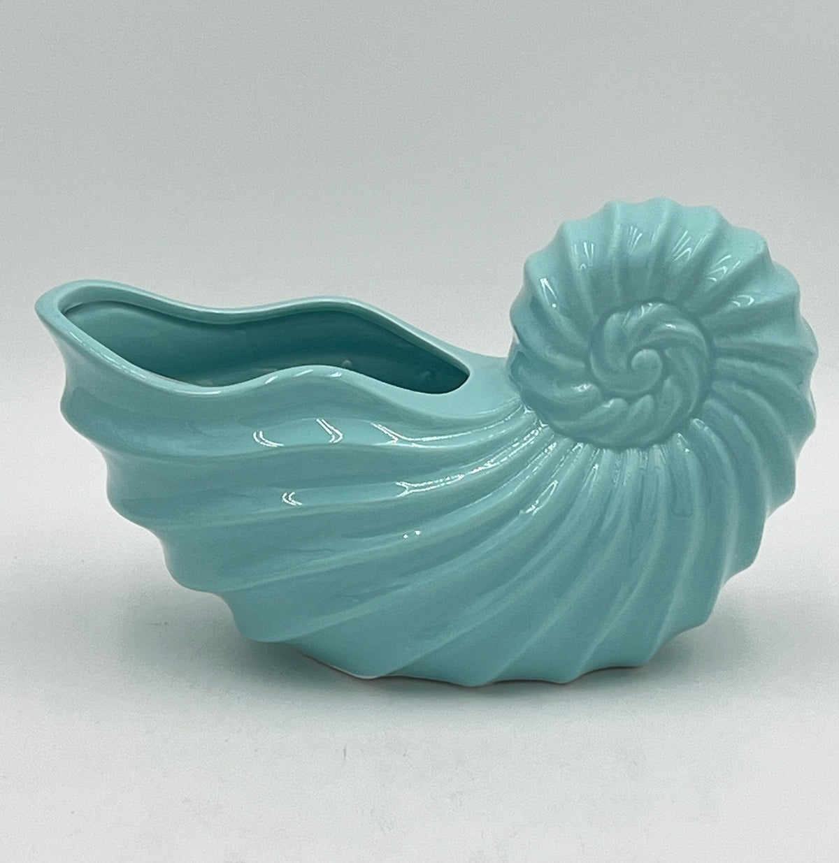 Shellhaven ceramic nautilus vases in glossy soft aqua, 5" x 5.5 Op, 1.5 lbs , available from floralsuppliespoint1.com. Ideal for compact floral arrangements with a touch of seaside elegance.