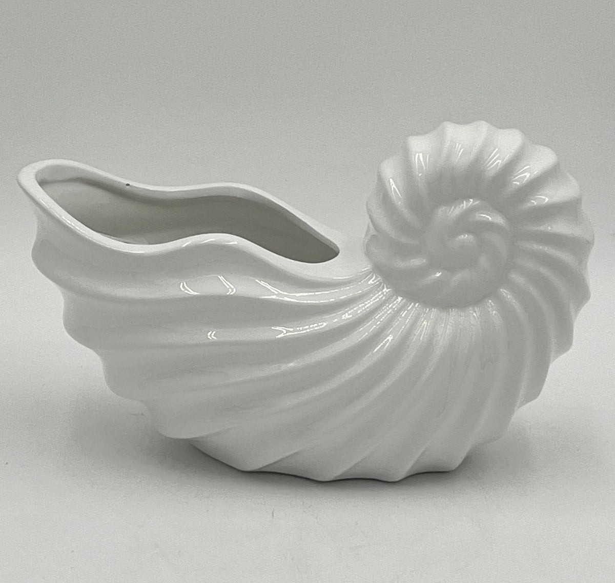 Shellhaven ceramic nautilus vases in glossy white, 5" x 5.5 Op, 1.5 lbs , available from floralsuppliespoint1.com . Ideal for compact floral arrangements with a touch of seaside elegance.